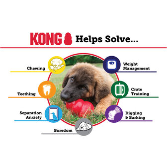 KONG Puppy Flyer rubber