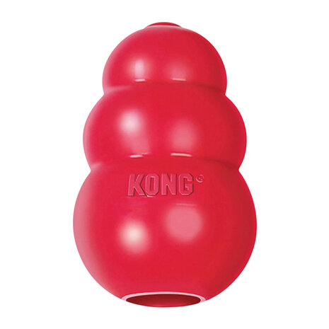 KONG Puppy, large.